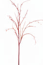ge10342n rd_lg WILLOW TORTUOSE