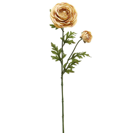 M9655 BT Ranunculus