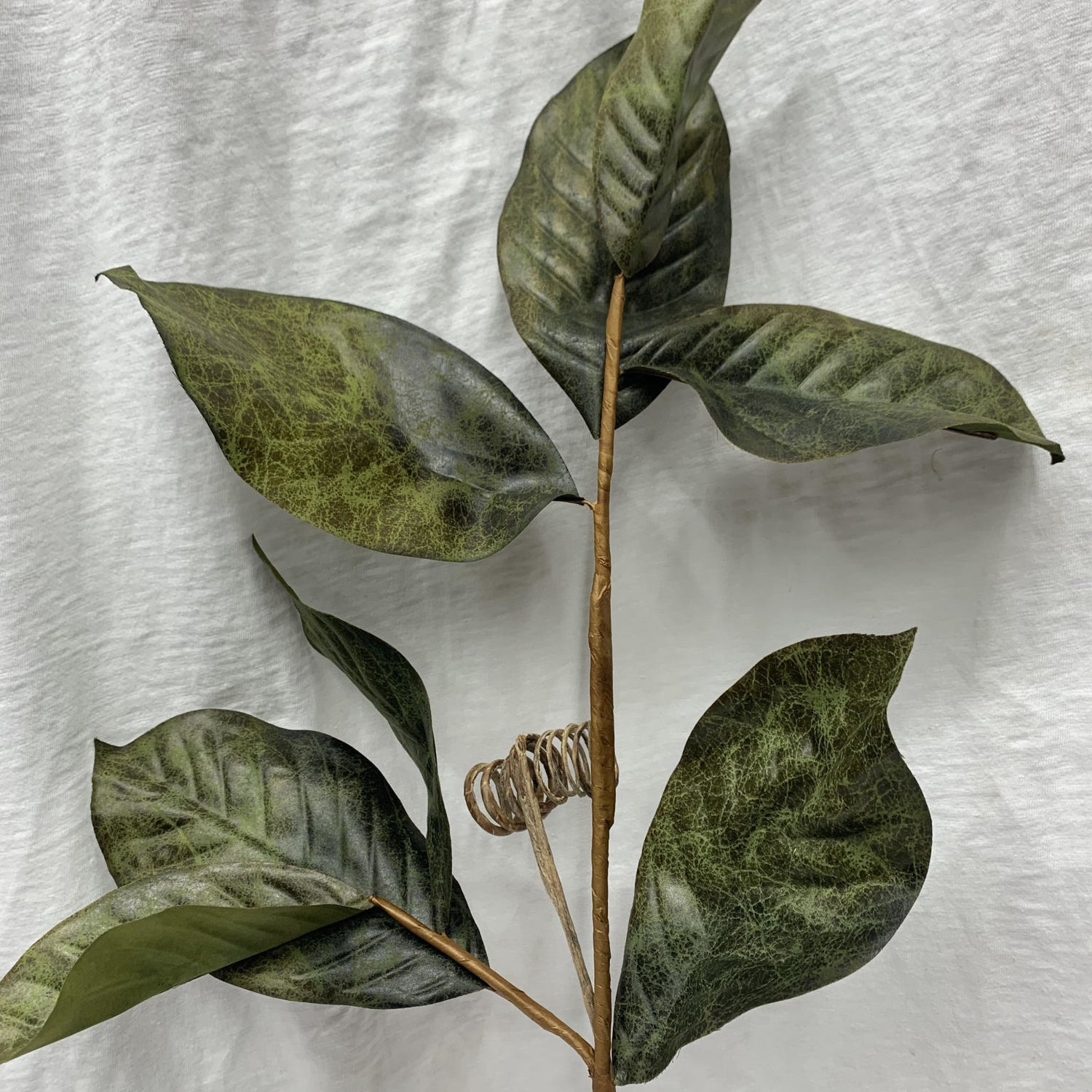 magnolia leaf spray