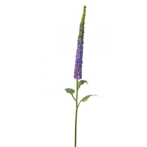 MTF23390-PURP_pl_2x