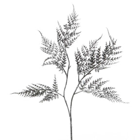 R6065 PT