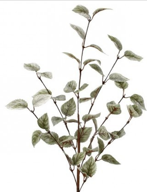 Screenshot (107)