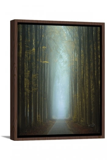 the-path-1769